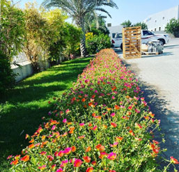 dubai-landscape-architects