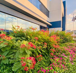 landscape-design-dubai