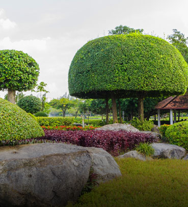 landscaping-design-and-execution